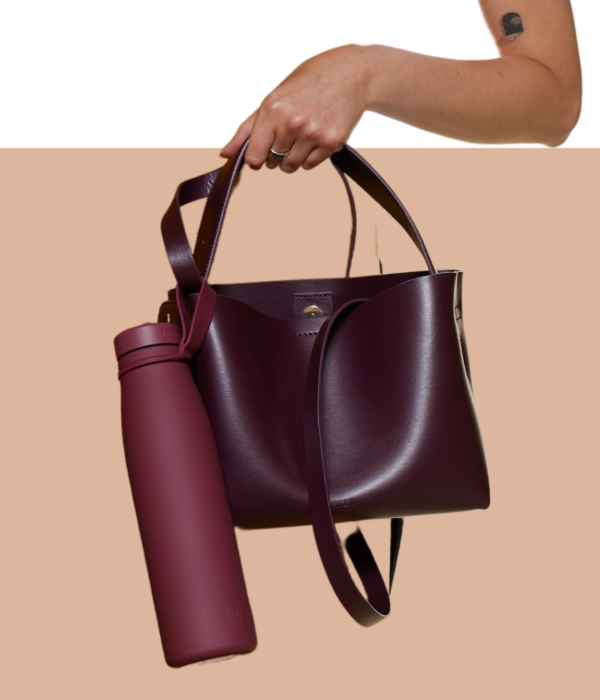 Evolution - Latest Style