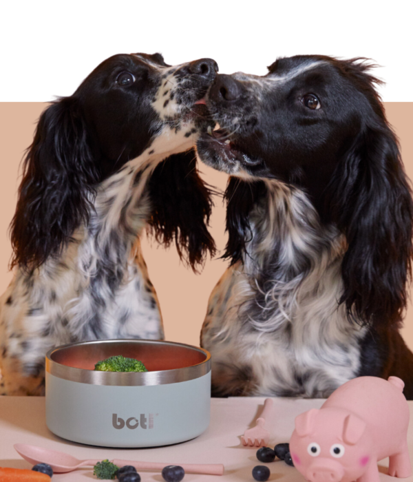 Stainless Steel Pet Bowls