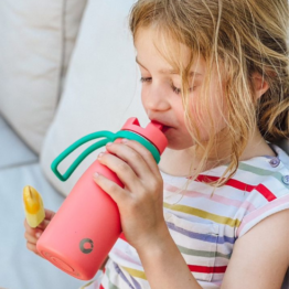 Onegreenbottle BOTL best Performing Water bottle with Straw 